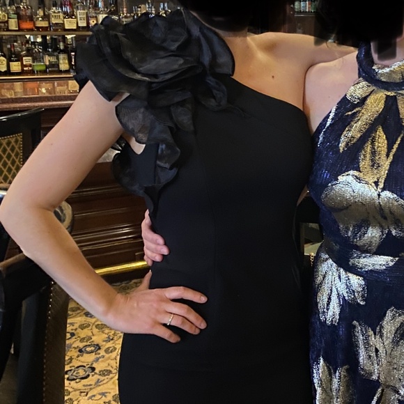 Aiden Maddox Gown - Picture 4 of 4